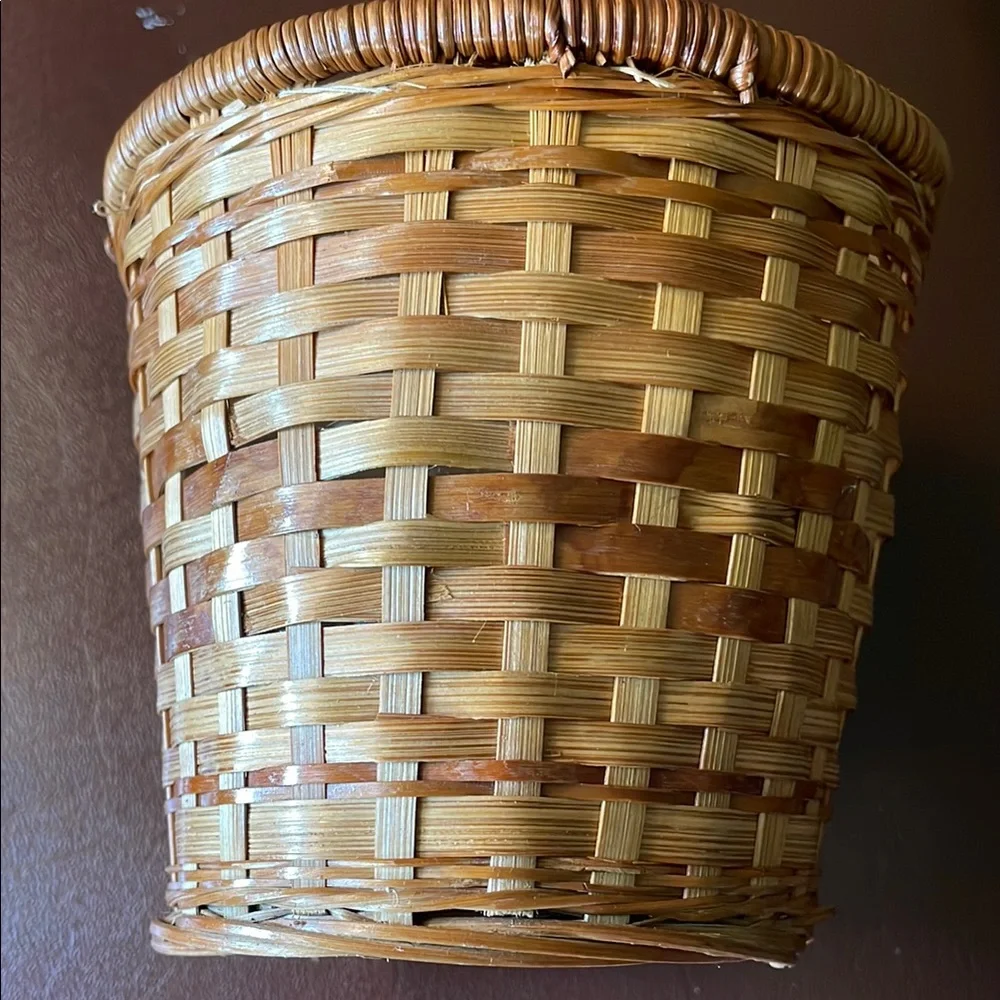 Woven Tan Basket with Liner for plants